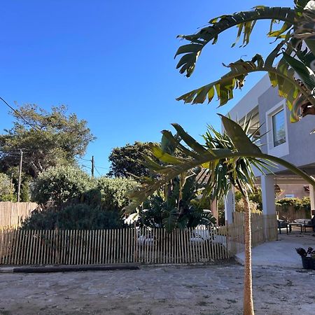 Bas De Villa - 300M Plage De La Capte - 2 Hebergements Disponibles Hyeres Ngoại thất bức ảnh